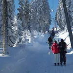Lejlighed 